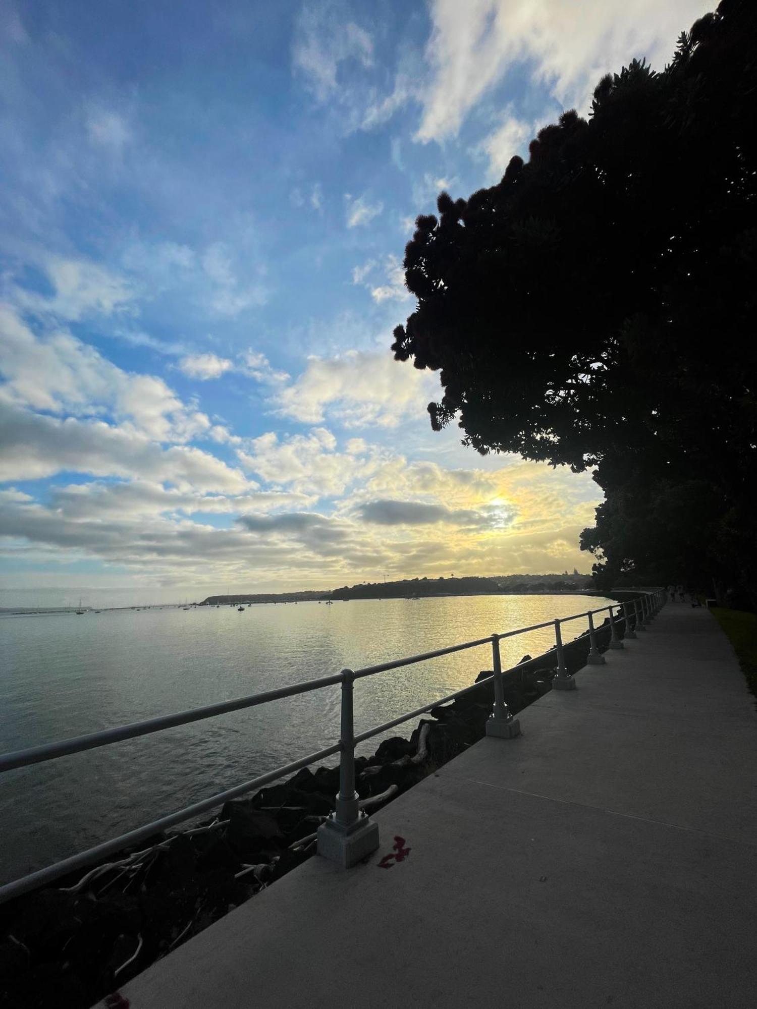 Luxury Apartment - Parking - Hot Tub - Stunning Views Окленд Экстерьер фото